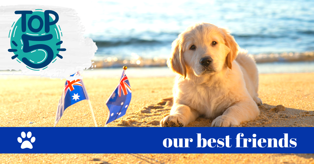 Top Five WA Dog Beaches